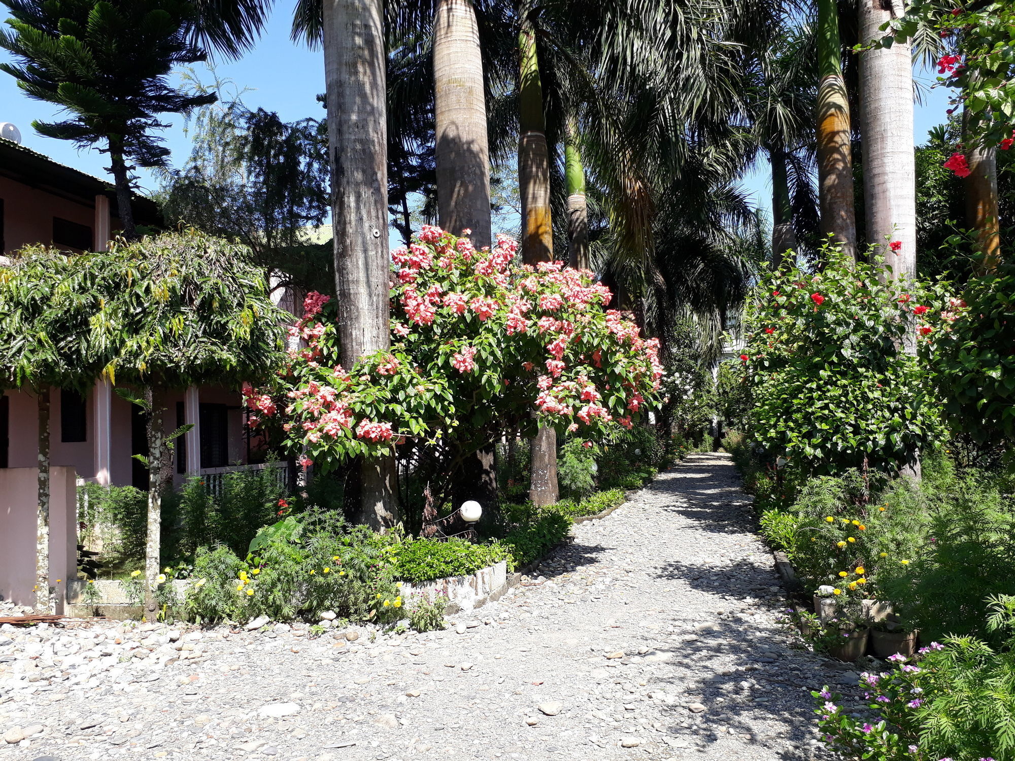 Ama Garden Sauraha Exterior foto